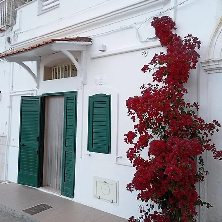 Junno Maison Doli' 马蒂纳塔